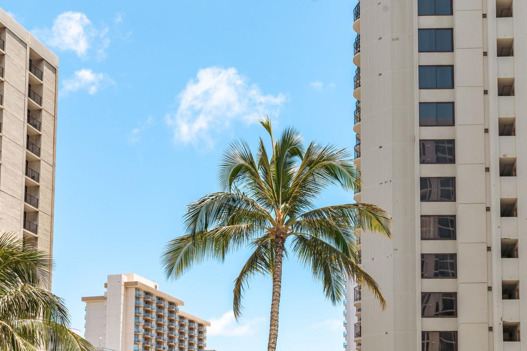 Cozy Waikiki Getaway, Stroll To Beach With Free Parking ホノルル エクステリア 写真