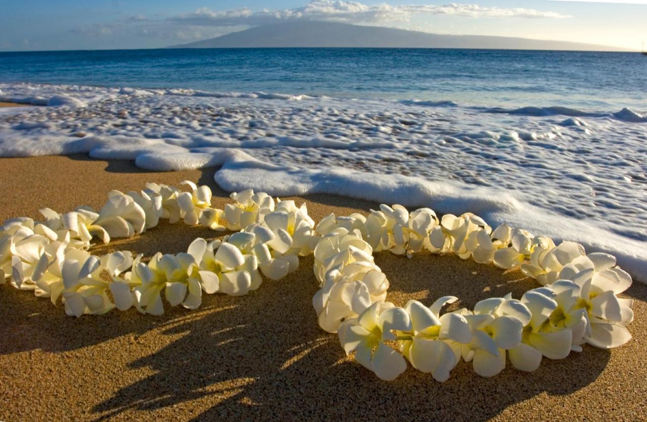 Cozy Waikiki Getaway, Stroll To Beach With Free Parking ホノルル エクステリア 写真